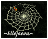 Halloween Evil Spider
