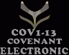 ELECTRONIC-COVENANT