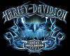 ~P~Harley Davidson Radio