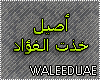aseel_khatht-alfo2ad2