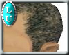 Graying close cut hair