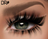 DR- L brown arched brows