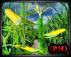 PM) Corn Plant Realistic