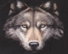[KD] Wolf Head+sounds