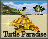 [my]Turtle Paradise Isla