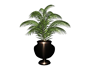 ♫K♫ Potted Plant
