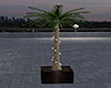 GL-City Palm Tree