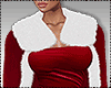 LLT Xmas Coat w dress