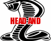 HEAD AND
