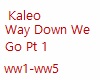 Kaleo-Way Down pt 1