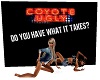 Coyote Ugly Background