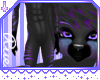 +R+ Cheshire M Fur
