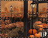 Bundle Autumn Pumpkins