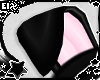 . black puppy ears