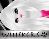 Whiskers :Plinks Hair F2