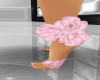 rose dainty feet