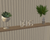Modern Shelve