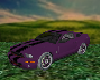 purple shelby gt500