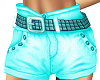 ~SDE~ Aqua Shorts