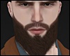 Style Beard Brown MH