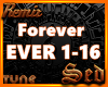 |S| Forever Remix