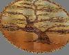 round oriental rug