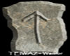 Teiwaz - warrior