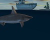 Island Shark ride