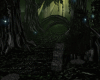 ♫C♫ Dark  Forest