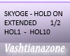 V-SYOGE-HOLD ON EXT 1/2