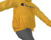 p. hoodie champion