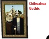 Chihuahua Gothic