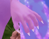 Flutter Paws M