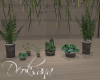 De* potted plants