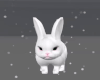 Snow The Rabbit M