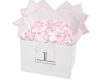 Blush Petals