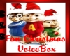 M/F Christmas Voicebox
