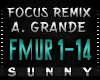A.Grande - Focus Rmx 1