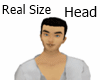 Real Size Head