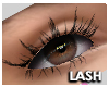 V4:: Rose Lashes 2