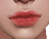 Orange Nude Lipstick