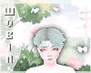 🐀 Butterfly Lilac