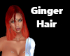 Ginger Hair