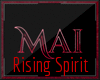 Rising Spirit -HardCore-