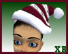 SANTAHAT HOLLYBERRY