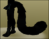 Black CATS Tails