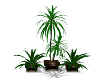 plant set
