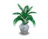 POTTED PLANT 12