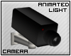 Animated Wall Camera