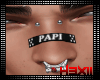 PAPI Nose Bandaid v2